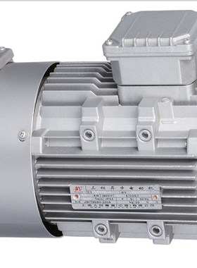 变频专用电机铝壳卧式YkVF250/370/750W/1.1/1.5/2.2/3KW立式380V