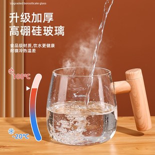 全自动玻璃搅拌杯2024新款电动咖啡杯办公室豆浆蛋白粉摇摇水杯子