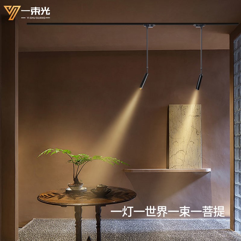 一束光聚光射灯轨道长杆客厅禅意摆件寺庙茶舍博物馆雕塑字画玉石