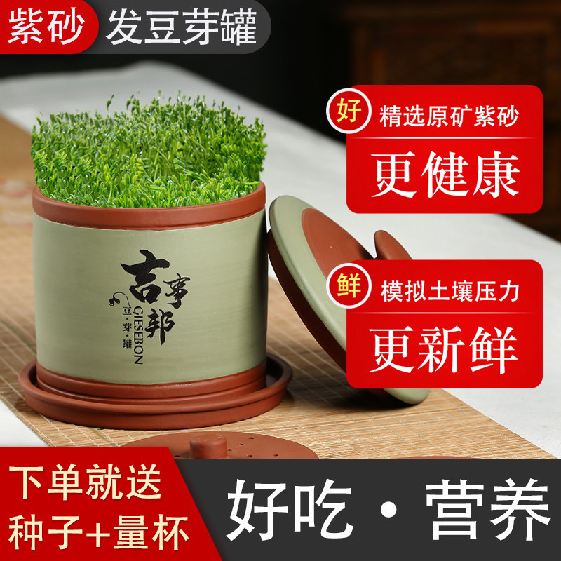 季发天然紫砂豆芽罐大容量豆芽发多种豆芽菜苗