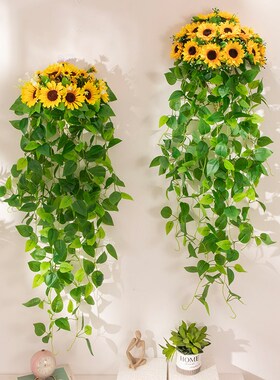 壁挂式绿植装饰墙壁仿真绿萝挂墙假客厅藤条篮挂饰