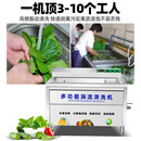 多功能涡流清洗机水果蔬菜肉类清洗机 商用洗菜机 气泡消毒洗菜机