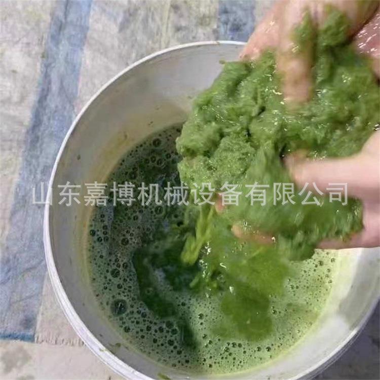 喂鹅用竹草厚超细皇粉碎机DMK玉米秸秆打浆机板.加钢刀盘