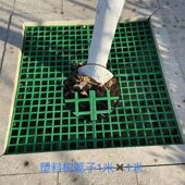 塑料格栅树篦子格栅护树板树坑树穴围子树下方形盖板塑料网格板厂