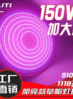 鲜肉红光灯 灯地摊灯大功率加亮