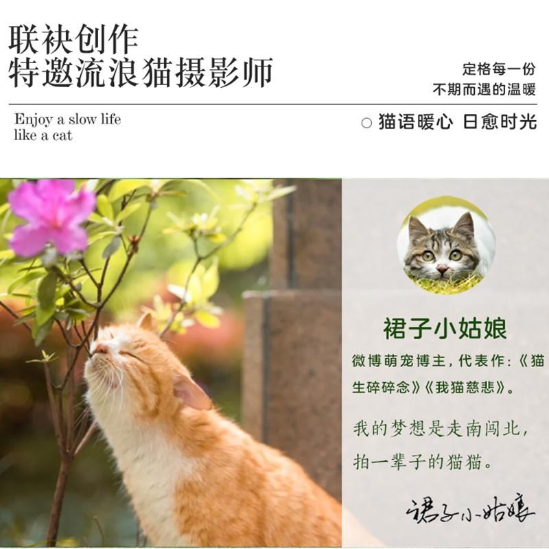 年遇见猫古诗词日历文艺小新台历天页
