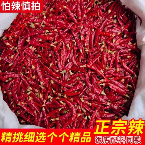特辣干辣椒巨辣整个小红椒