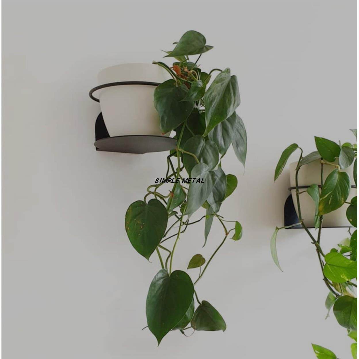 墙壁装饰花卉展示架置物架摆件植物架壁挂式花盆室内SIMPLE METAL