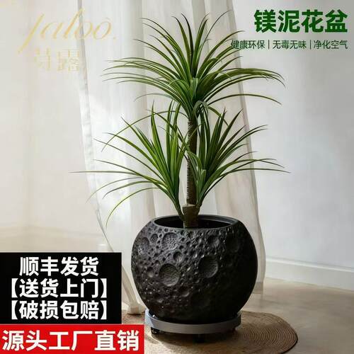 镁泥花盆月球表面矮款透水透气盆客厅民俗别墅复古做旧宅寂风花器