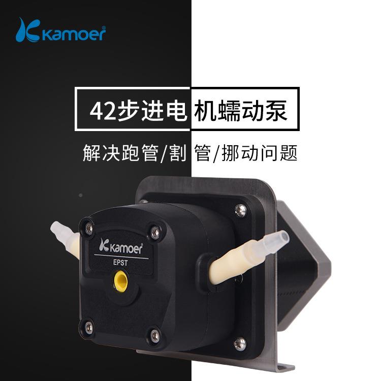 蠕动泵业工微型自水吸泵大流量水泵低音小型 24v动步进自小泵抽泵