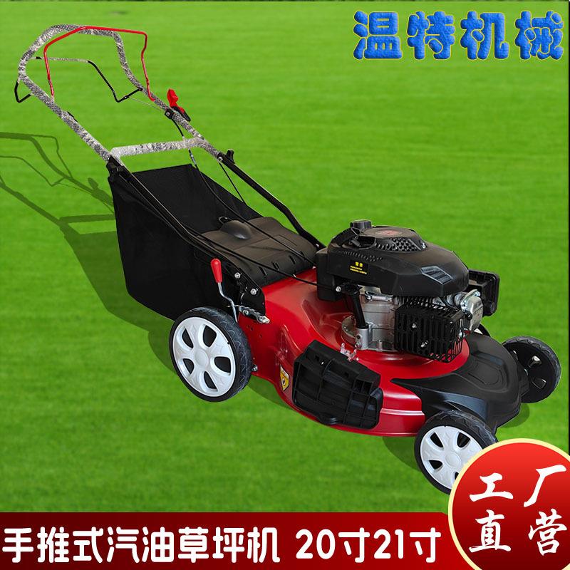 厂家手推式油草坪机机汽 1区8寸自走集草HKL碎草 公园小草坪机