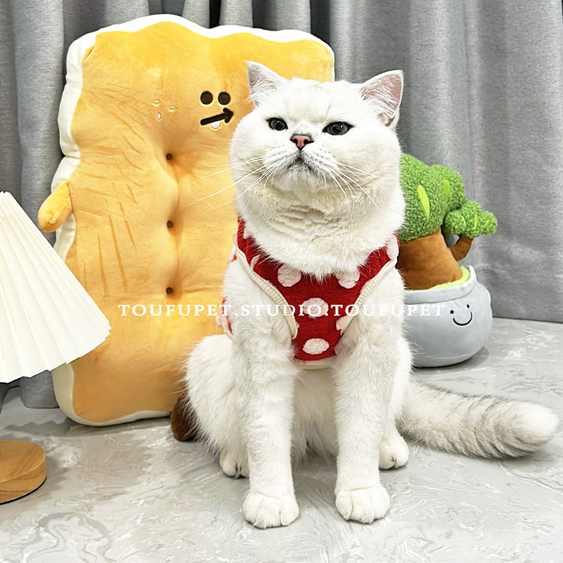 冬季猫咪衣服保暖加绒布偶金渐层美短矮脚小猫泰迪狗狗衣服防掉毛