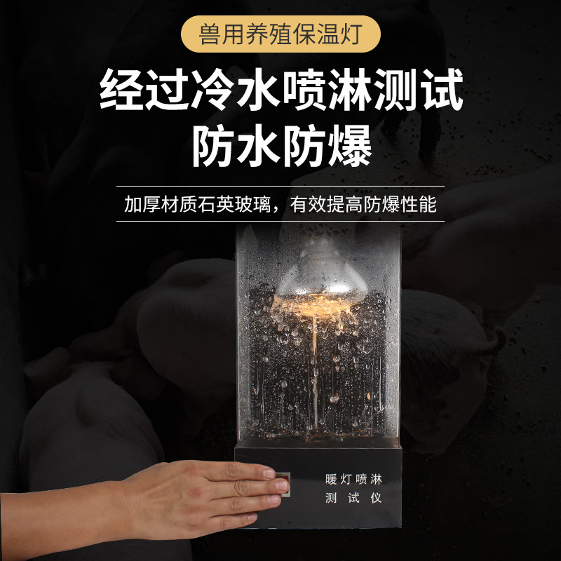 猪用保温灯养殖场育雏取暖灯泡仔猪兽用加热烤灯小猪保暖灯泡
