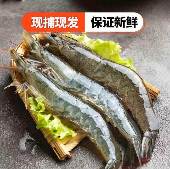 虾爷爷30-40）海捕新鲜大虾虾子气冻虾国产虾鲜活冷冻超大冰鲜