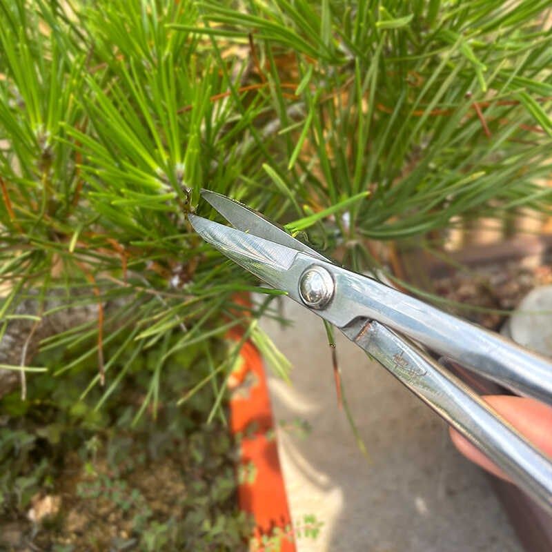 青辰叶芽剪盆景造型制作小枝剪不锈钢剪刀插花艺枝切园艺多功能剪
