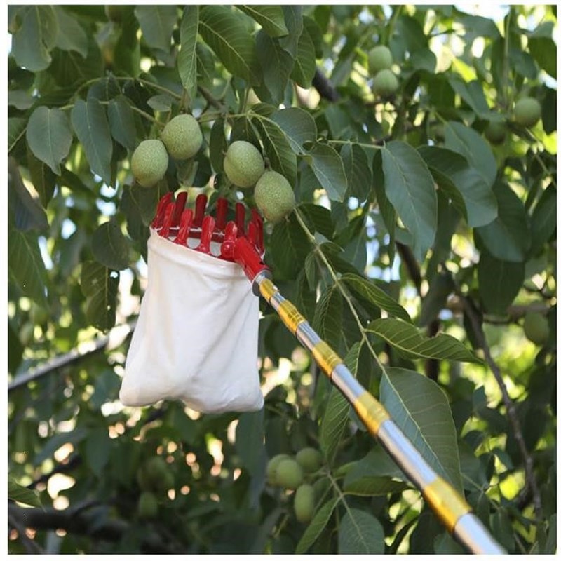 采摘神器摘果器杨桃工具木瓜摘水果摘果机高空杏子果实胡柚高枝。