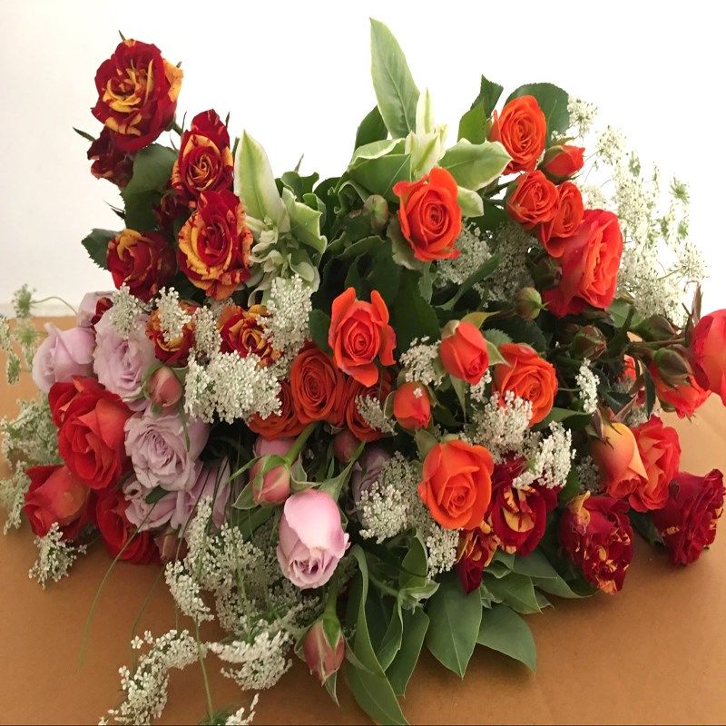 云南单花鲜花混搭鲜花每周一花包月速递一共四束套餐全国配送包邮