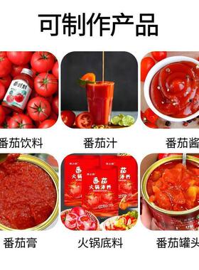番13583632茄酱生设产线西红原柿酱加工设备番茄沙司调全套备番茄