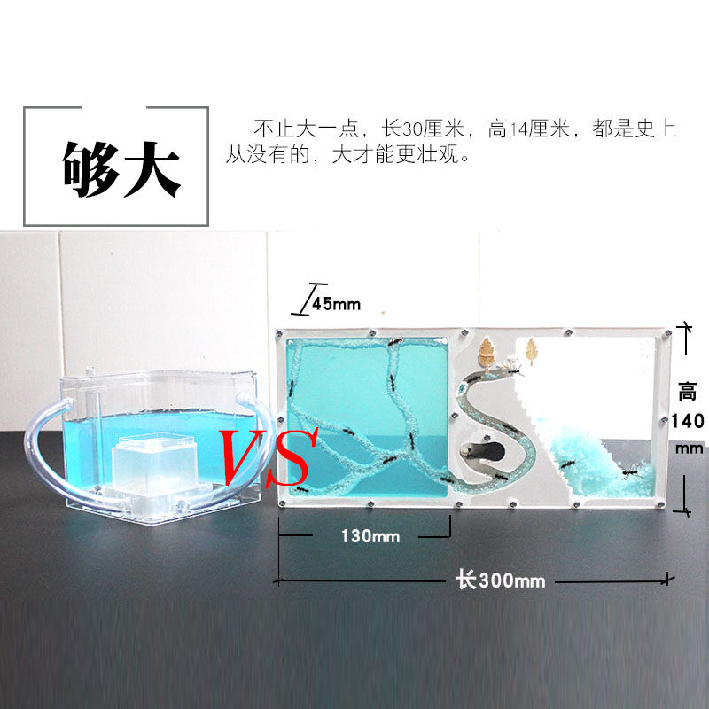 蚂蚁工坊学生款 幼儿园专用蚂蚁城堡 庄园家园王国学校老师都说好