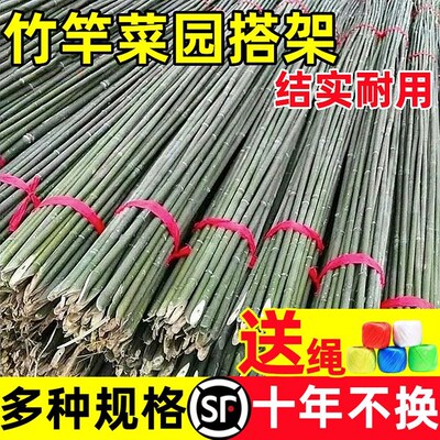 竹竿菜园搭架竹子杆四季豆角架杆子菜架竹篱笆栅栏围栏黄瓜爬藤架