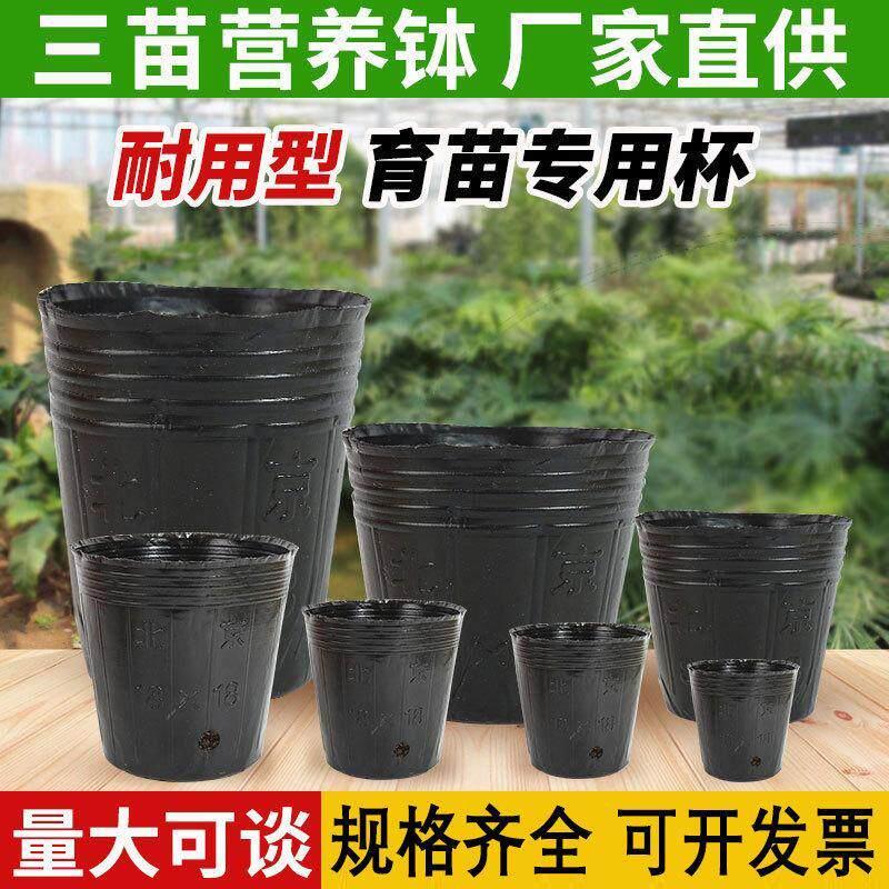 可降解纸浆育苗盆育种花盆营养盆培养盆营养钵定植盆营养杯育苗杯