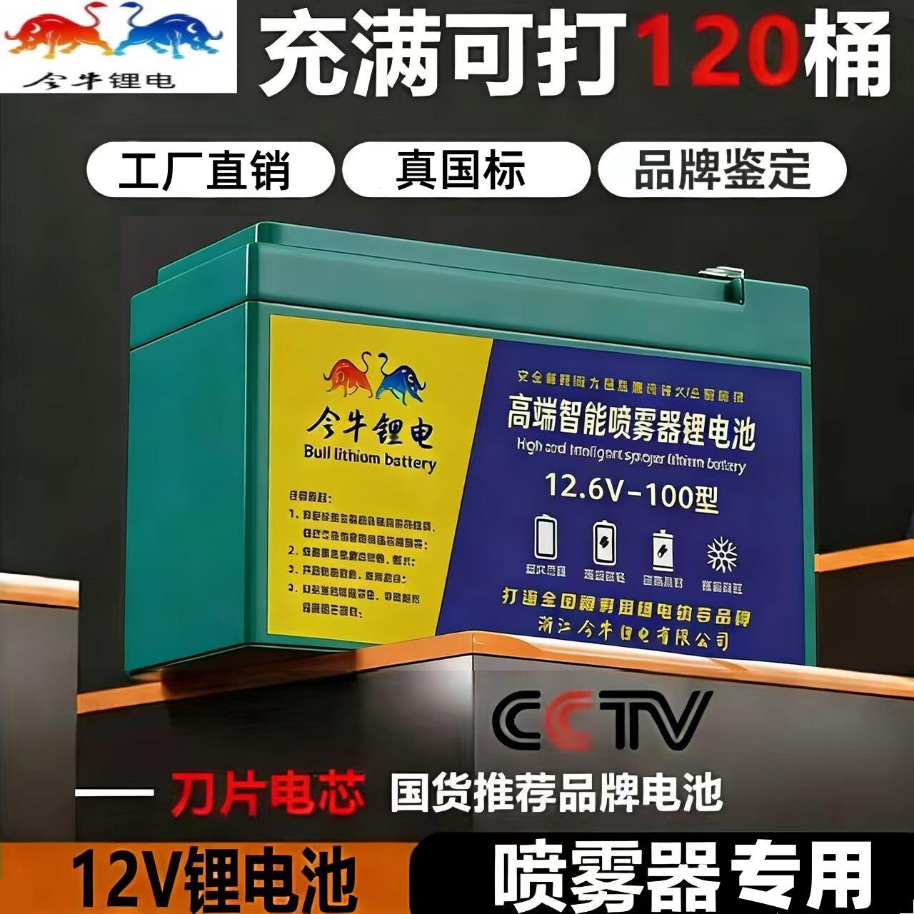 国标12V锂电池喷雾器专用电动儿童车电瓶大功率抽水机摆摊锂电瓶