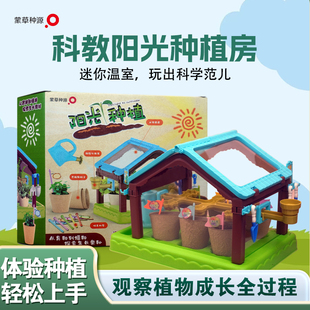 阳光房种植儿童科学小实验套装植物观察玩具女孩生日礼物手工diy