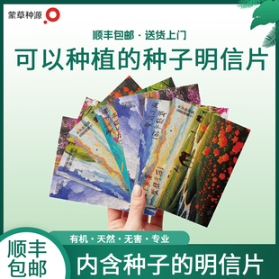 种子明信片定制可种植纪念品会发芽梦想开花励志祝福贺卡环保创意