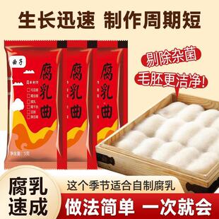 腐乳曲豆豉独立包装曲子粉正宗曲霉发酵豆渣旗舰店曲种四川制作