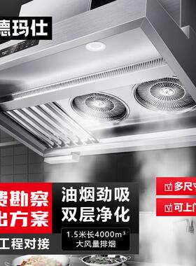 DEMASHI商用油烟净化一体机商用抽油烟机大吸力油烟净化器