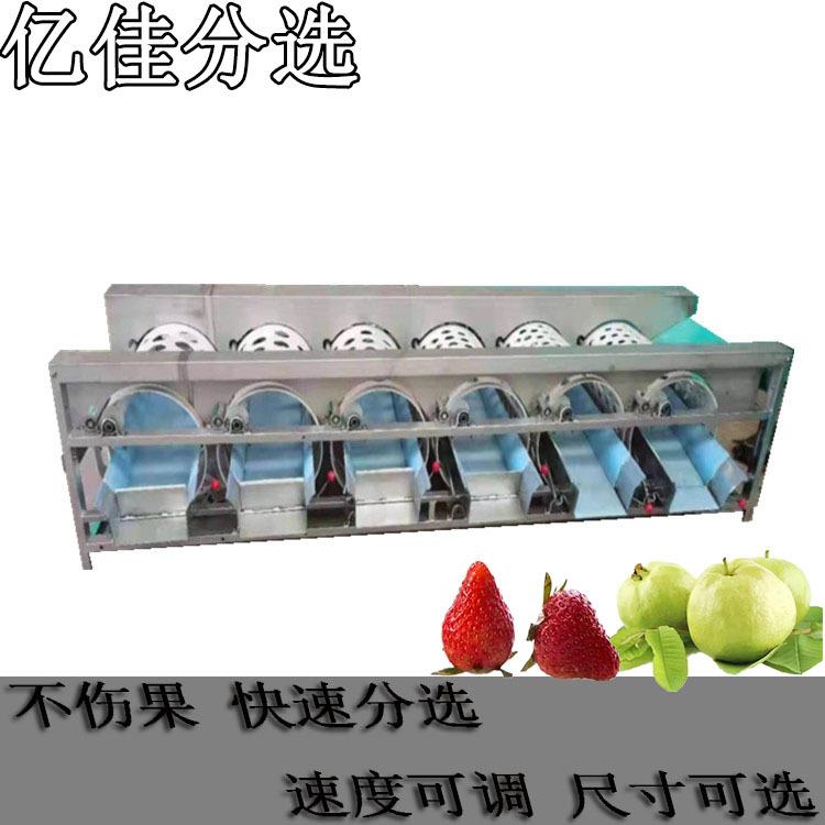 红橙筛选机洋葱分大小机马蹄分级机大蒜分拣机小型滚桶式分选机