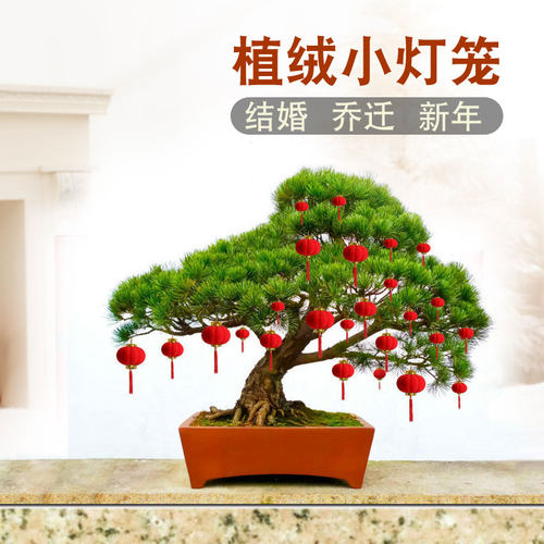 小红灯笼挂饰新年国庆装饰植绒盆景灯龙树上挂件喜庆结婚乔迁布置