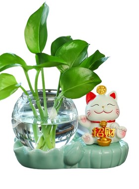 招财猫治愈系创意可爱客厅玄关家居办公室工位桌面水培装饰品摆件