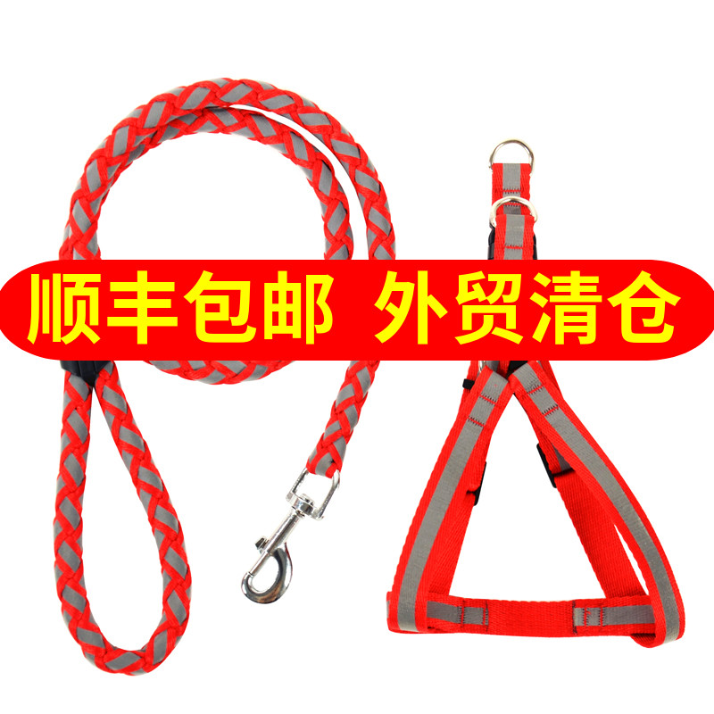 荧光泰迪狗链 狗狗牵引绳 夜光狗链子小型犬宠物胸背带遛狗绳子