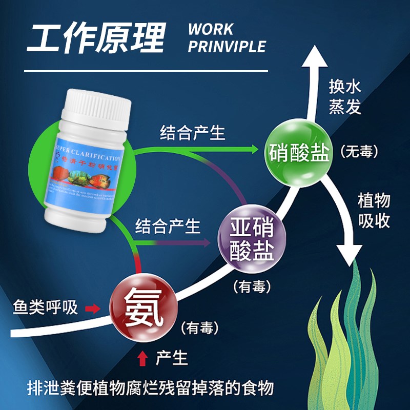 双鹰特清硝化细菌干粉鱼缸净化水质除臭味杀菌水族箱除苔抑制藻类