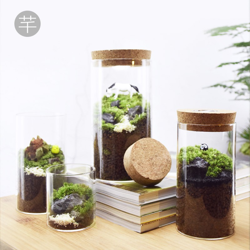 苔藓微景观植物生态瓶奇趣绿植创意DIY小盆景桌面办公桌绿植摆件