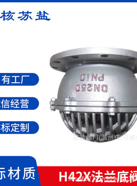 H42X-6C10P16RL国标WCB铸钢304不锈钢316L法兰水泵底阀管道储水逆