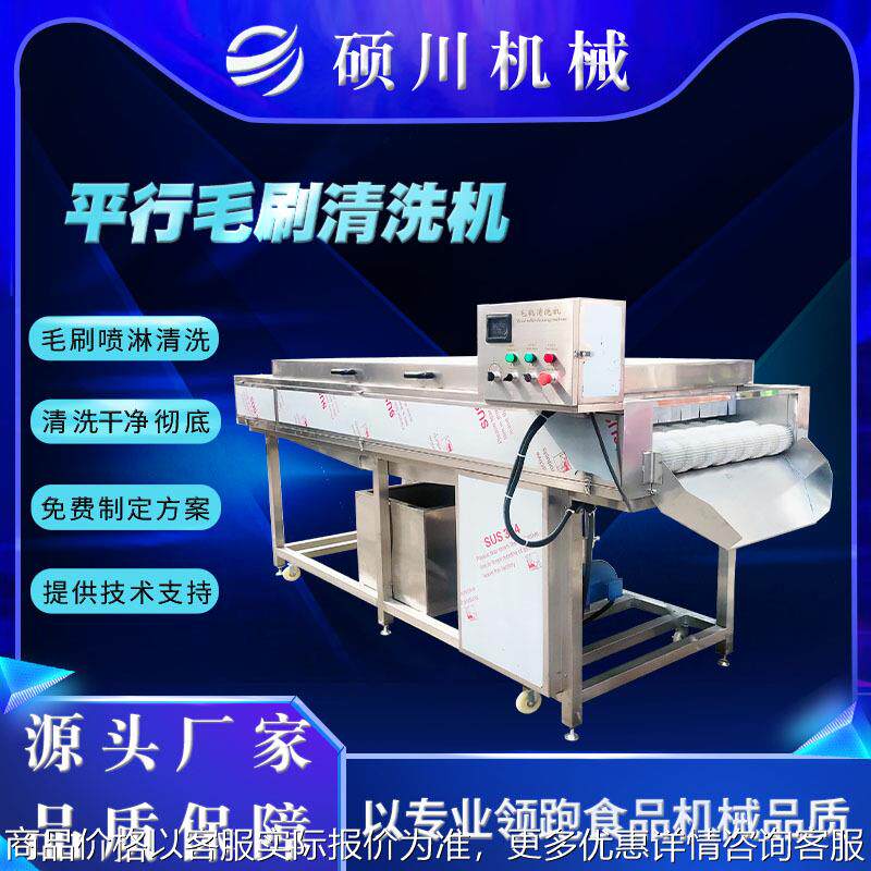 根茎类中药材平行毛辊清洗机毛桃黄桃沃柑脐橙清洗加工生产线设备