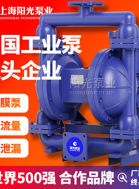 【定制】DBY型电动隔膜泵型号 dby-40不锈钢隔膜泵污水隔膜泵厂家