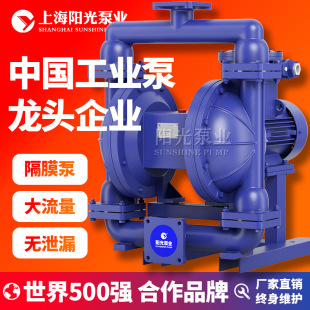 dby DBY型电动隔膜泵型号 40不锈钢隔膜泵污水隔膜泵厂家 定制