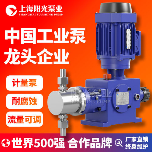 【定制】DZ-X型柱塞式计量泵不锈钢柱塞计量泵可定做