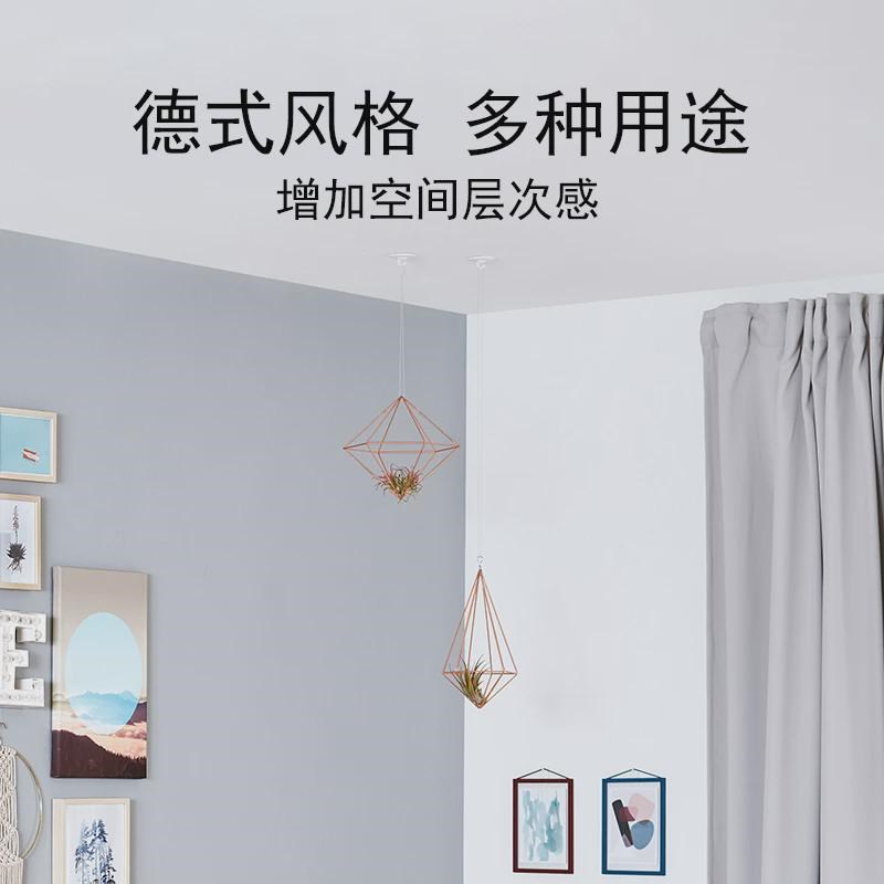 tesa德莎无痕天花板挂钩吊顶屋顶墙上免打孔悬挂风铃吊钩粘钩吊饰