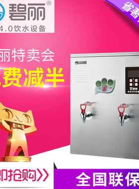 碧丽电商用全自动水饭店工厂用烧水器