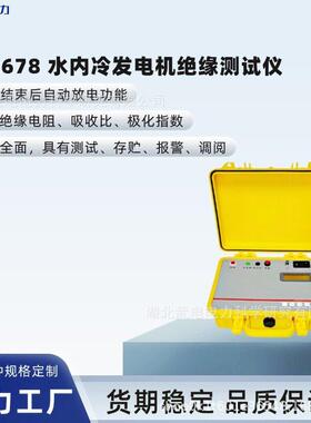 WD2678水内冷发电机绝缘测试仪测试范围5MΩ～10000MΩ