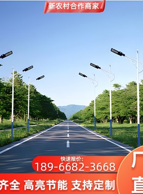 户外照明市电6米路灯定制农村高杆灯市政工程景区河道高杆灯厂家