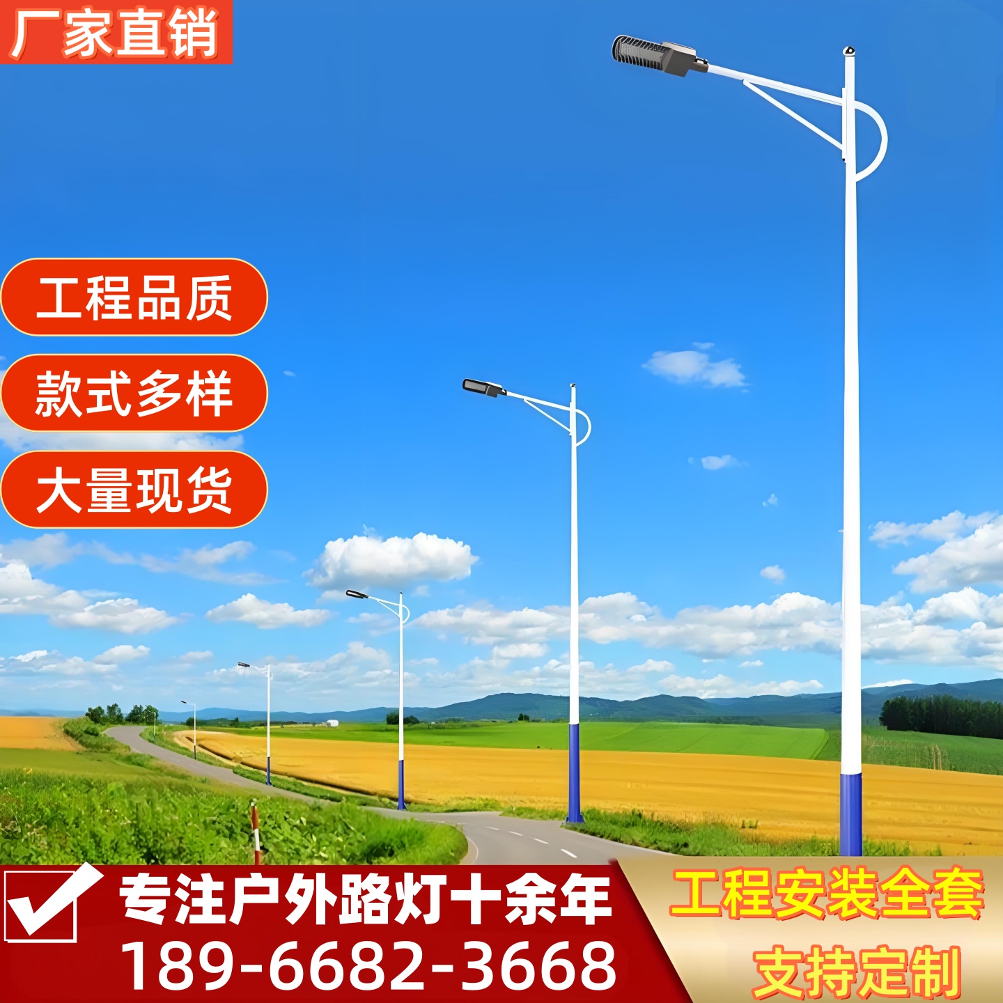 可全国安装高亮市电高杆路灯杆厂