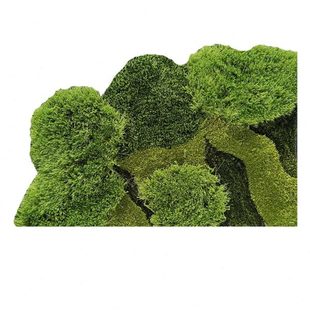 饰儿童手工地垫定制 绿色草坪苔藓小森林长毛绒地毯三角角落创意装