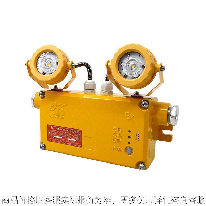 防爆应急照明灯OK-ZFZD-E6W8121A安全出口疏散标志指示灯防爆双头