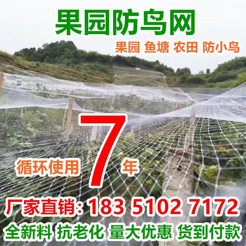 果园防鸟网尼龙棕丝网樱桃葡萄果树防鸟用的网鱼塘天网大棚养殖网