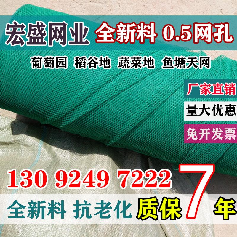 防鸟网罩樱桃网果树防鸟网果园尼龙网防护罩防雹网葡萄蔬菜家用网